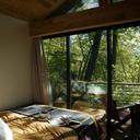 Cuyuna Cove的图像