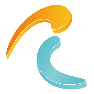 Afbeelding van Reckless Lending