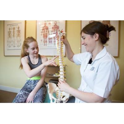 Image of Beckenham and Bromley Chiropractic Clinic