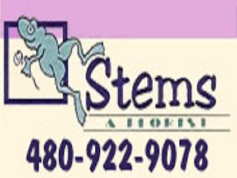 Image of Stems