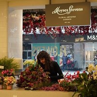 Image of Moyses Stevens Flowers