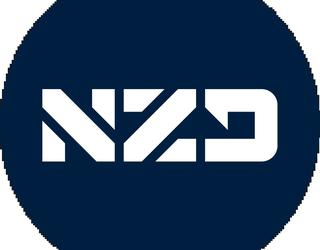 Image of NZ Digital. Web Design & Digital Marketing Auckland