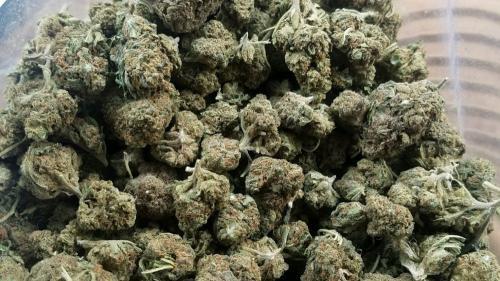 Image of Kush Factory