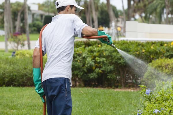 Image of Queen Creek Pest Control