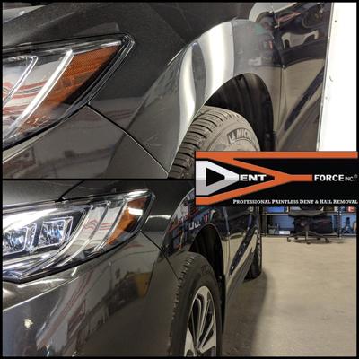 Image of DENT FORCE Paintless Dent Repair