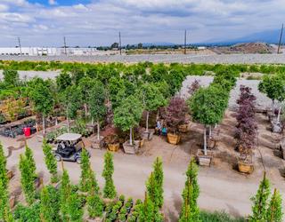 Image of Garden View Nursery