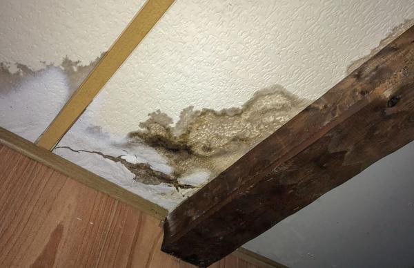 Image of The Big Apple Water Damage Experts