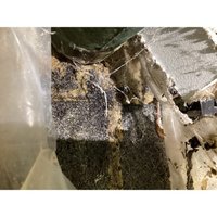 Image of MyGuy Plumbing & Drain