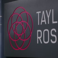 Image of Taylor Rose