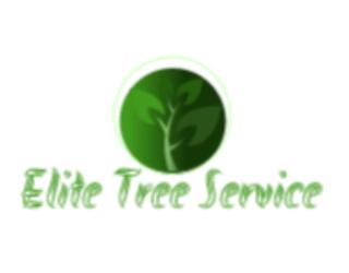 Image de Elite Tree Service