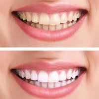 Image of Avalon Dental Spa