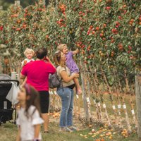 Image of Hillcrest Orchards