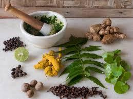 Herb