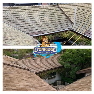 Image de Lyonridge Property Service