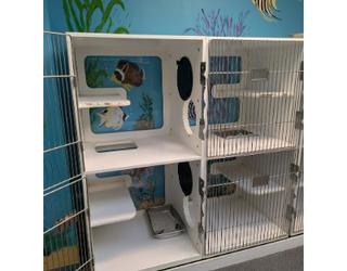Image of Animal Friends Pet Hotel