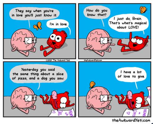 Image of The Awkward Yeti LLC