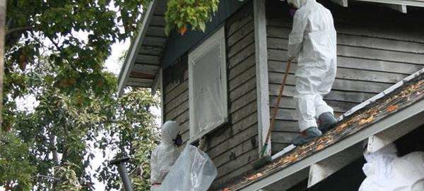 Image of Breathe Easy Asbestos Removal