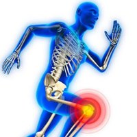 Image of Body Active Physio