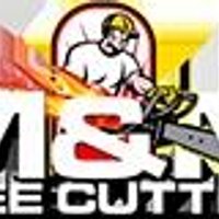 Image of NYC Discount Tree Trimming Service