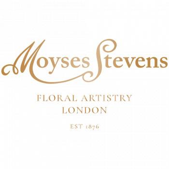 Image of Moyses Stevens Flowers