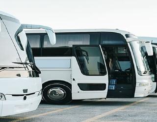 Image of Mesa Charter Bus Rentals