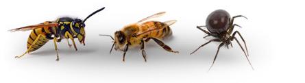 Image of Nikol Pest Control