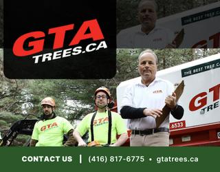 Image of GTA Trees