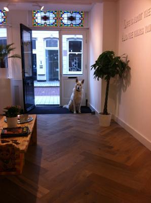 Voorzijde studio | Lucky Cat Tattoo
