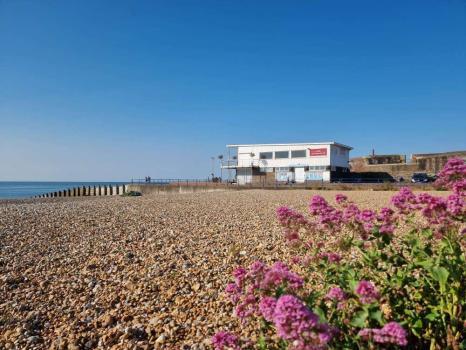 Image of Eastbourne Osteopathy: Back Pain and Shoulder Clinic