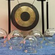 Image of Orient Medicine Acupuncture Clinic