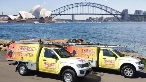 Image of Forensic Pest Management Services