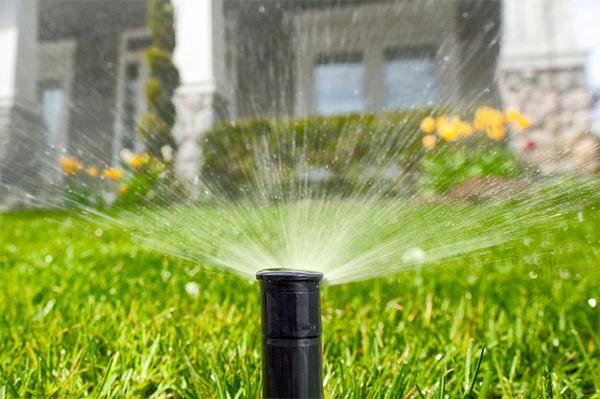 Image of Complete Irrigation