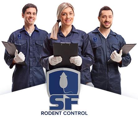 Image of SF Rodent Control