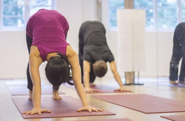 Yoga Classes 