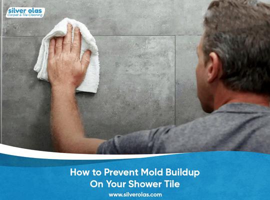 Tile Cleaning in Vista