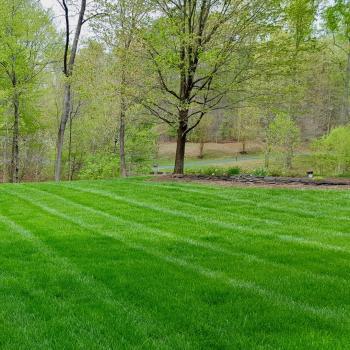 Image of Brandon Rushing Lawn & Garden Care