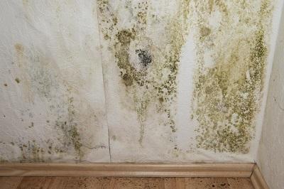 Basement Waterproofing