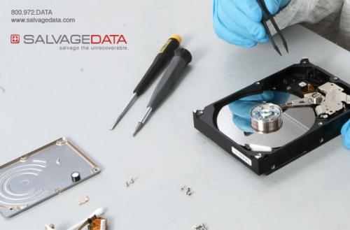 Image of SALVAGEDATA Recovery Services