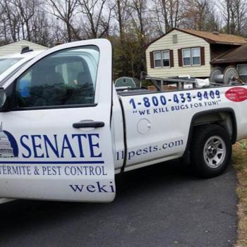 Image of Senate Termite & Pest Control