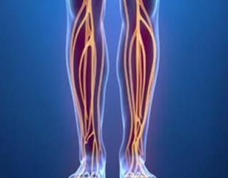 Image of North County Vascular & Interventional