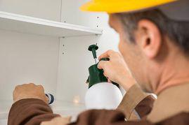 Image of Queen Creek Pest Control