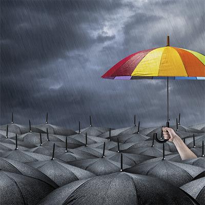 Image of Sentius Strategy Melbourne - Top Marketing Consultant