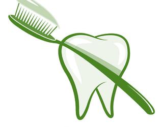 Image of Dr. Shauna H. Gammage, DDS