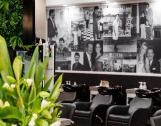 Image of Zorba Hair