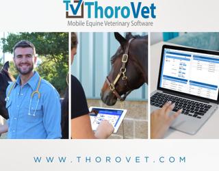Image of ThoroVet Equine Veterinary Software