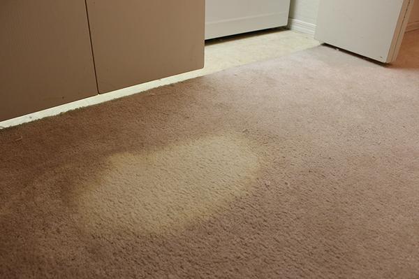 Image of Creative Carpet Repair San Pedro