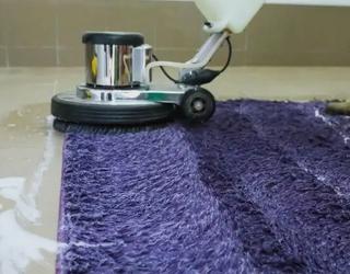 Image of Magic Carpet Cleaning Company