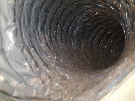 Image of Clean Air San Antonio Pro