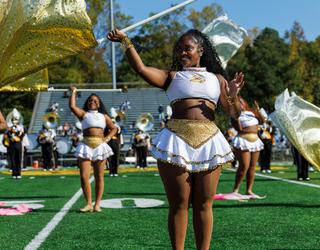 Image of Bandmans