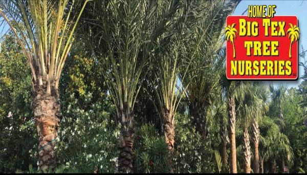 Image of Moon Valley Nurseries